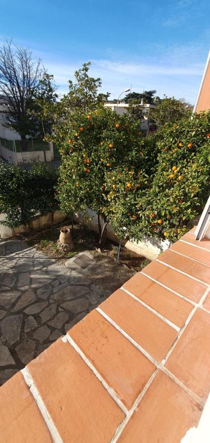 Appartement Entier Au Dessus De Villa, Climatisation Reversible Poele A Bois Tres Chaleureux , Wi Fi Parking Privee Gratuit Situation 500 M, Plage Et Centre Ville Sanary-sur-Mer Εξωτερικό φωτογραφία